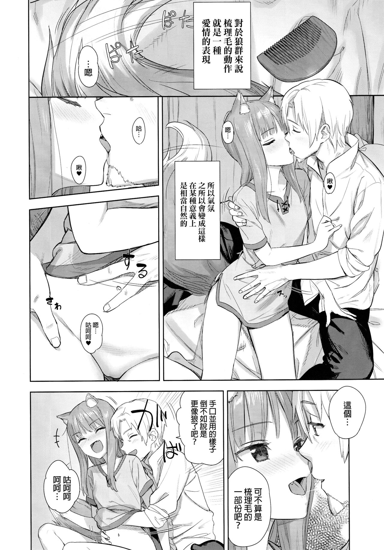 (C96) [Ajisaidenden (Kawakami Rokkaku, Takanashi Rei)] Wacchi to Shippori Kezukuroi Bon (Spice and Wolf)全集P5