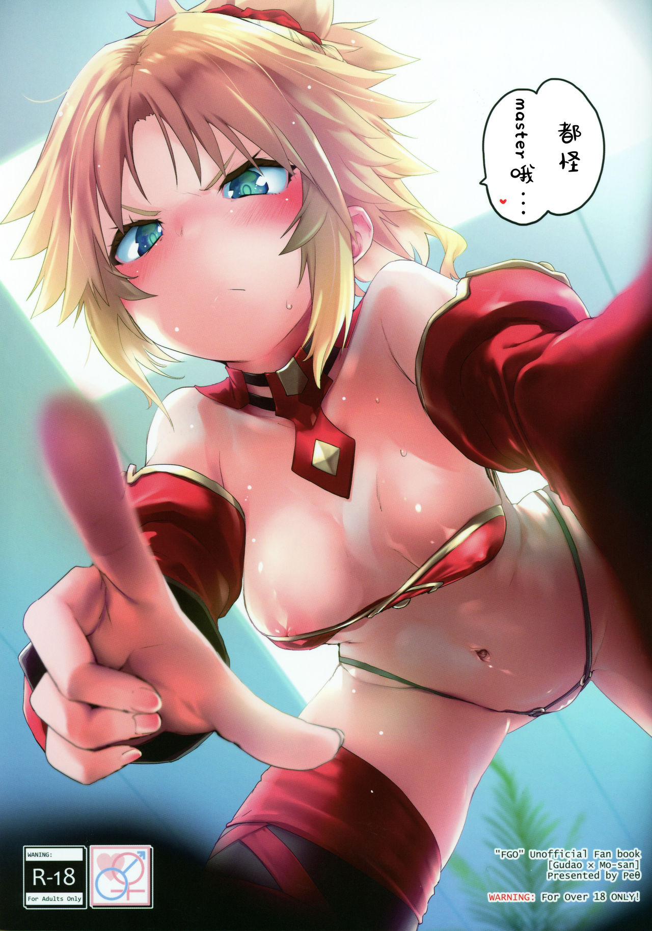 (C97) [Peθ (Mozu)] Master no Sei da zo... (Fate/Grand Order)全集P1